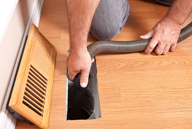 Best Professional Duct Cleaning Services  in Pigeon, MI